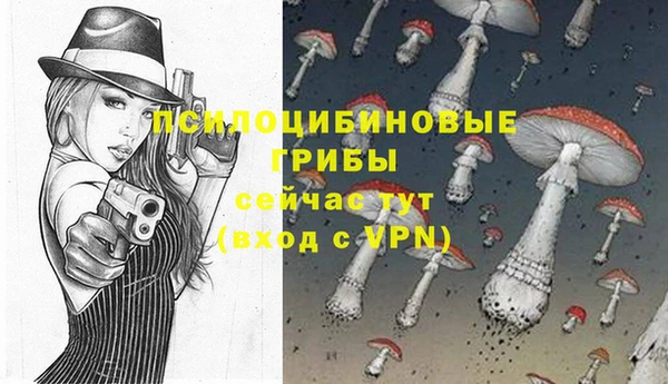 кристаллы Верея